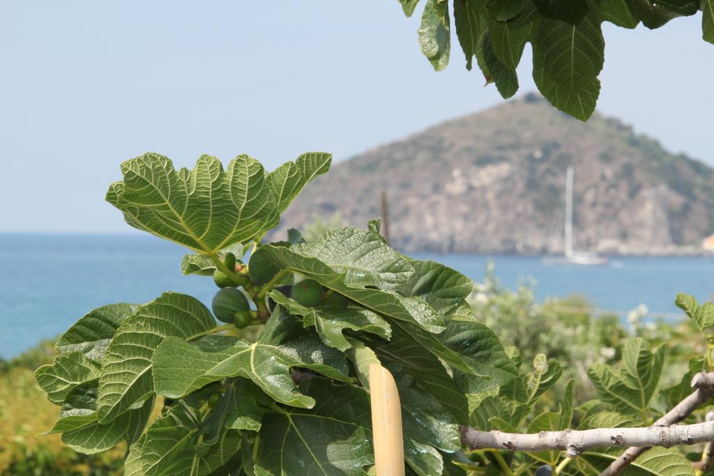 Hotel Maronti Barano dʼIschia Exteriér fotografie